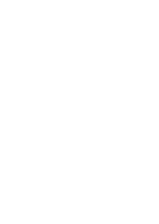palm shadow